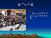 小学六年级下册科学-3.1-消失了的恐龙-苏教版-(23张)ppt课件
