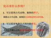 小学六年级下册科学-3.2化石告诉我们什么-苏教版(12张)ppt课件