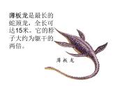 小学六年级下册科学-3.1-消失了的恐龙-苏教版-(22张)ppt课件