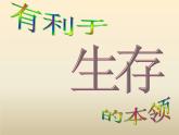 小学六年级下册科学-2.有利于生存的本领苏教版(14张)ppt课件