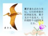 小学六年级下册科学-3.1消失了的恐龙-苏教版(26张)ppt课件