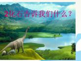 小学六年级下册科学-3.2化石告诉我们什么-苏教版(13张)ppt课件