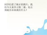 小学六年级下册科学-3.2化石告诉我们什么-苏教版(13张)ppt课件