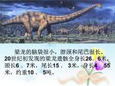 小学六年级下册科学-3.1-消失了的恐龙-苏教版-(24张)ppt课件