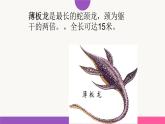 小学六年级下册科学-3.1消失了的恐龙-苏教版(37张)ppt课件