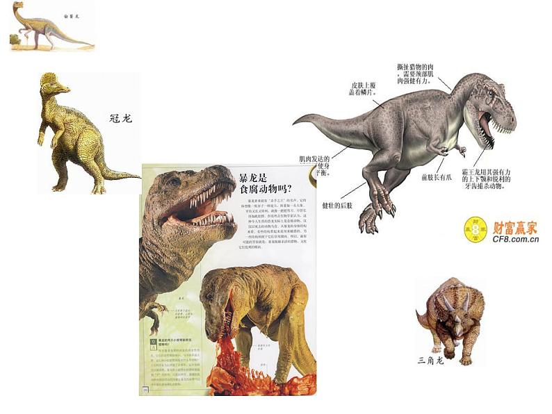 小学六年级下册科学-3.1消失了的恐龙-苏教版(22张)ppt课件04
