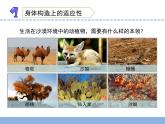 小学六年级下册科学-2.有利于生存的本领3苏教版(20张)ppt课件