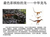 小学六年级下册科学-3.1消失了的恐龙-苏教版(20张)ppt课件