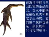 小学六年级下册科学-3.1消失了的恐龙-苏教版(19张)ppt课件