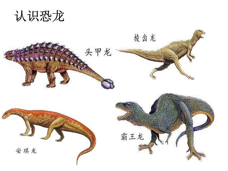 小学六年级下册科学-3.1-消失了的恐龙-苏教版-(12张)ppt课件第4页