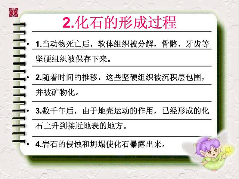 小学六年级下册科学-3.2化石告诉我们什么-苏教版(14张)ppt课件第5页