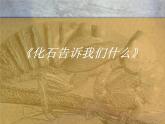 小学六年级下册科学-3.2化石告诉我们什么-苏教版(11张)ppt课件