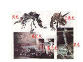 小学六年级下册科学-3.2化石告诉我们什么第一课时苏教版(30页)ppt课件
