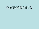 小学六年级下册科学-3.2化石告诉我们什么-苏教版(15张)(2)ppt课件