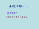 小学六年级下册科学-3.2化石告诉我们什么-苏教版(15张)(2)ppt课件