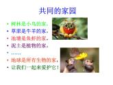 小学六年级下册科学-4.1寻找生物的家园-苏教版(25张)(1)ppt课件