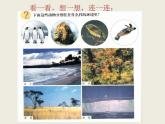 小学六年级下册科学-4.1寻找生物的家园-苏教版(21张)ppt课件