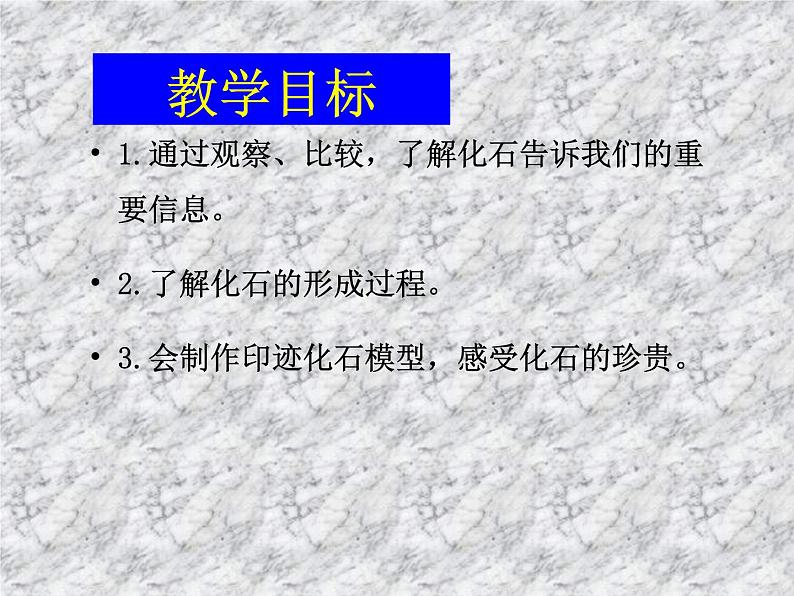 小学六年级下册科学-3.2化石告诉我们什么-苏教版(31张)ppt课件第3页