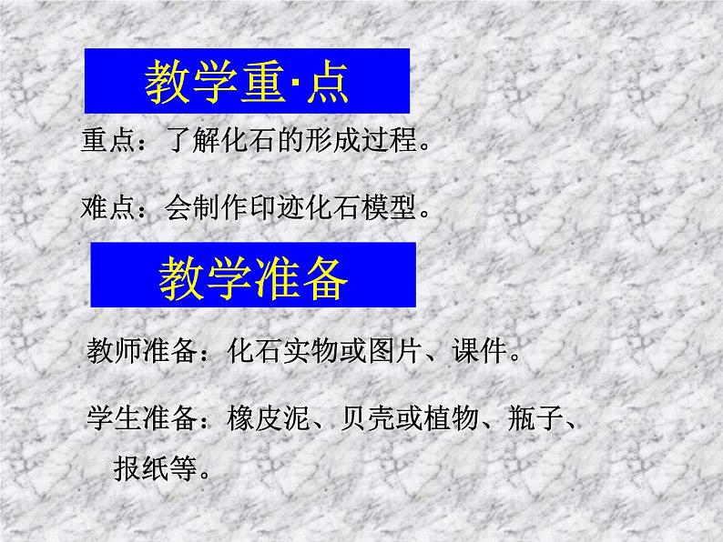 小学六年级下册科学-3.2化石告诉我们什么-苏教版(31张)ppt课件第4页