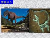 小学六年级下册科学-3.2化石告诉我们什么-苏教版(31张)ppt课件