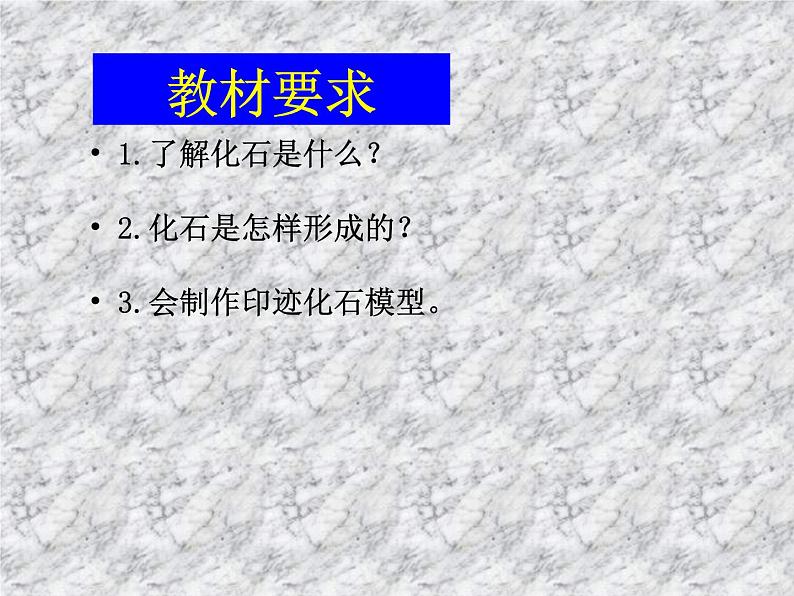 小学六年级下册科学-3.2化石告诉我们什么-苏教版(31张)ppt课件第6页