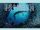 小学六年级下册科学-4.1寻找生物的家园-苏教版(14张)(1)ppt课件