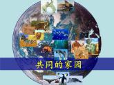 小学六年级下册科学-4.1寻找生物的家园-苏教版(14张)(1)ppt课件