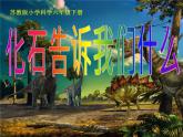 小学六年级下册科学-3.2化石告诉我们什么-苏教版(19张)ppt课件