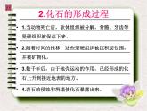 小学六年级下册科学-3.2化石告诉我们什么-苏教版(19张)ppt课件