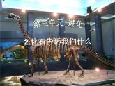 小学六年级下册科学-3.2化石告诉我们什么-苏教版(15张)ppt课件