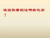 小学六年级下册科学-3.2化石告诉我们什么-苏教版(15张)ppt课件