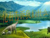 小学六年级下册科学-3.2化石告诉我们什么-苏教版(22张)ppt课件