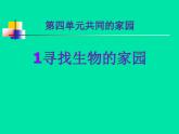 小学六年级下册科学-4.1寻找生物的家园-苏教版(14张)(2)ppt课件