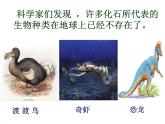 小学六年级下册科学-3.2化石告诉我们什么-苏教版(23张)ppt课件