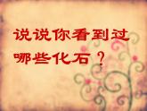 小学六年级下册科学-3.2化石告诉我们什么-苏教版(22张)(1)ppt课件