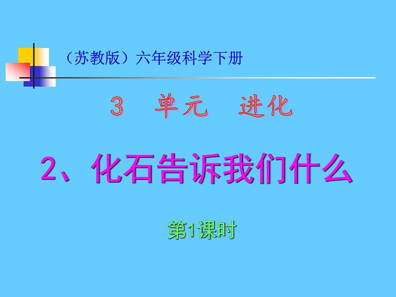 小学六年级下册科学-3.2化石告诉我们什么-苏教版(33张)ppt课件第4页