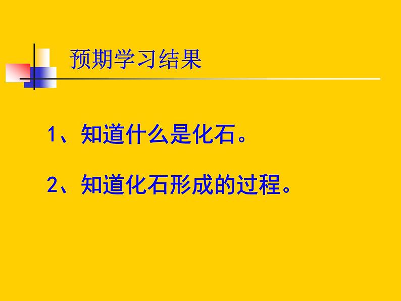 小学六年级下册科学-3.2化石告诉我们什么-苏教版(33张)ppt课件第5页