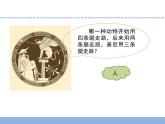 小学六年级下册科学3.人生之旅2苏教版(15张)ppt课件
