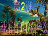 小学六年级下册科学-3.2化石告诉我们什么-苏教版(31张)(1)ppt课件