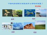 小学六年级下册科学-4.1寻找生物的家园-苏教版(25张)ppt课件