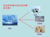 小学六年级下册科学-4.1寻找生物的家园-苏教版(25张)ppt课件