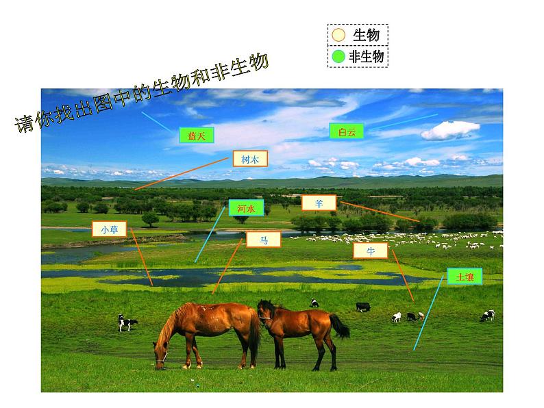 小学六年级下册科学-4.1寻找生物的家园-苏教版(24张)(1)ppt课件第6页