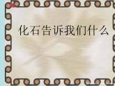 小学六年级下册科学-3.2化石告诉我们什么-苏教版(15张)(1)ppt课件