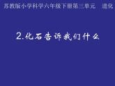 小学六年级下册科学-3.2化石告诉我们什么-苏教版(25张)ppt课件