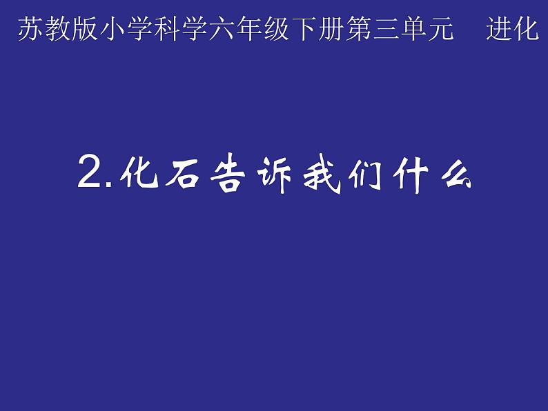 小学六年级下册科学-3.2化石告诉我们什么-苏教版(25张)ppt课件第2页