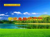 小学六年级下册科学-4.1寻找生物的家园-苏教版(15张)ppt课件