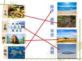 小学六年级下册科学-4.1寻找生物的家园-苏教版(24张)ppt课件