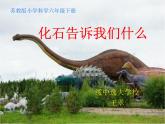 小学六年级下册科学-3.2化石告诉我们什么-苏教版(19张)ppt课件