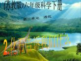 小学六年级下册科学-3.2化石告诉我们什么-苏教版(29张)ppt课件