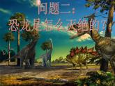 小学六年级下册科学-3.2化石告诉我们什么-苏教版(29张)ppt课件